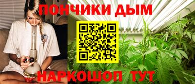 jwh Нальчик