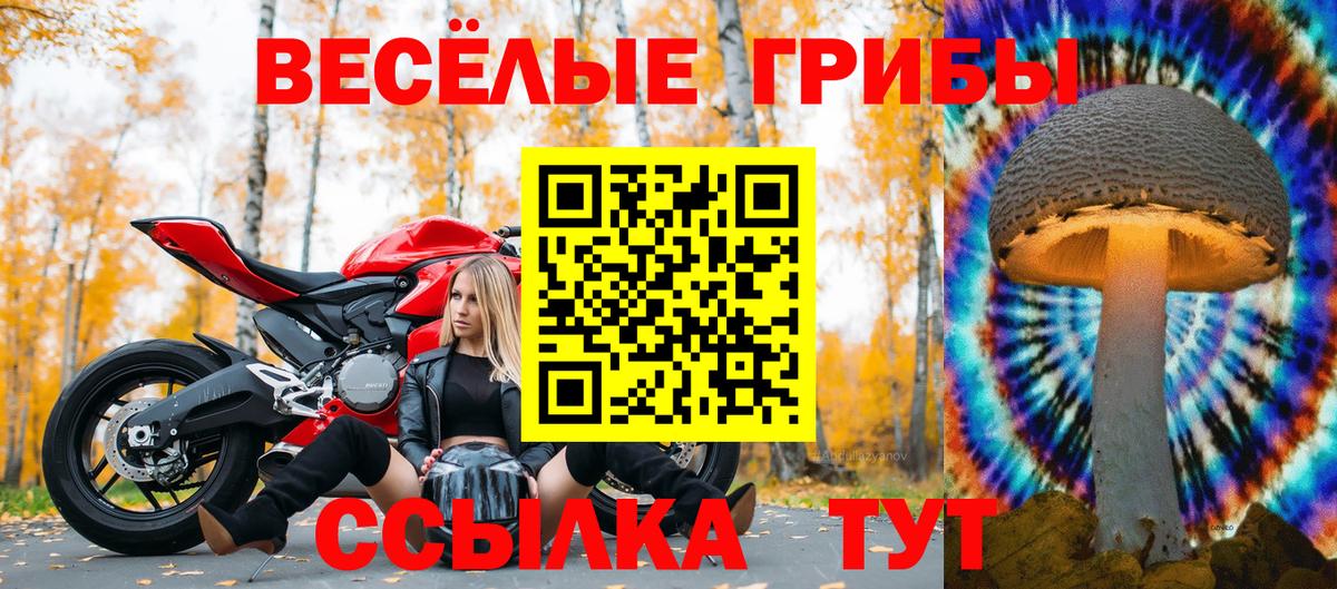 Сарапул  Галлюциногенные грибы мицелий  Вход с VPN 
